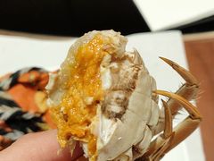 -张江海科雅乐轩聚聚乐