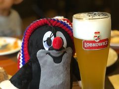 -布拉格餐厅· 中欧捷克菜(全国首店)