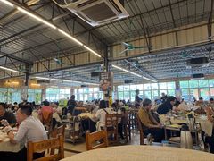 -百利鸽王(紫薇路店)