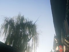 -小厨子私房菜·云南美食店