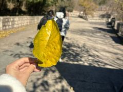 -北京十三陵国家森林公园蟒山景区