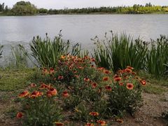 -东郊湿地公园