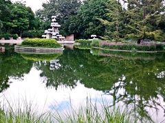 人工湖-南馆公园