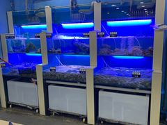 -老虎滩大连海鲜烧烤(建邺云锦路总店)