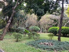 -深圳国际园林花卉博览园