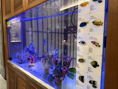 -水之惠鲜鱼料理(王府大街店)