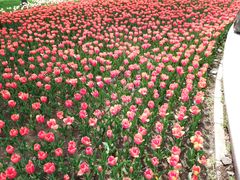 -长春公园(普阳街道)