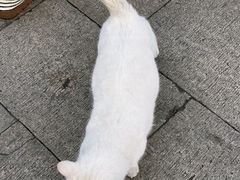 -山塘街