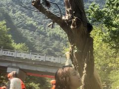 -雅鲁激流探险漂流