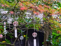 -黄公望隐居地