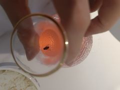 -花椒笑成都小馆(百脑汇店)