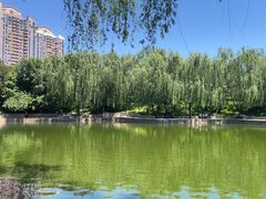 -团结湖公园