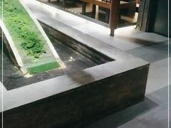 -湊湊火锅·茶憩(石家庄万象城店)