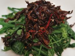 炝油黑皮鸡枞拌麦瓜尖-云腾食府·云南菜