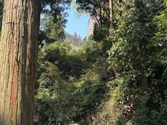 -雁荡山风景名胜区