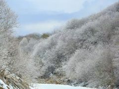 -太子岭滑雪场