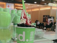 -Salud撒露欧洲冻酸奶(五道口购物中心店)