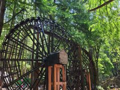 -波尔登森林公园