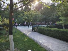 -莲湖公园