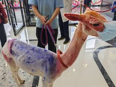 -万达广场(北京槐房店)