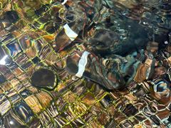 -海鲜e族(马王堆店)