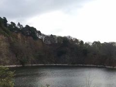 -王借岗森林公园