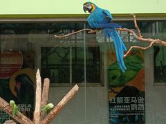 -北京野生动物园