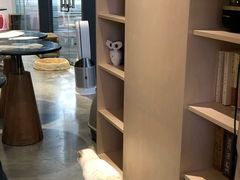 -瞄一喵猫咖(格力海岸店)