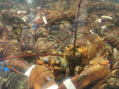 -盒马鲜生(顺义店)