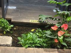 -邈墨茶馆(大兜路1号店)