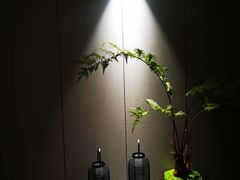 -珠海棕泉水疗酒店(拱北口岸高铁站店)