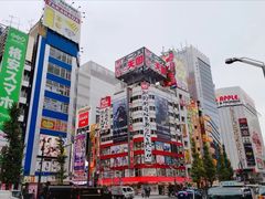 -秋叶原电器街