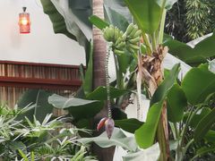 -忆江南·生态餐饮宴会酒店