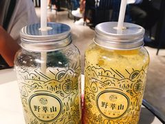 -野萃山·潮汕厚果汁(十亩地店)