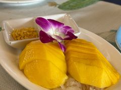 -Jungle Kitchen