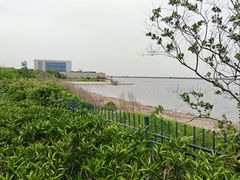 -江滩湿地公园