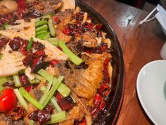 -老板恋上鱼(振华商厦店)