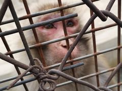 -祥阁食府妈妈菜