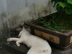 -西园戒幢律寺