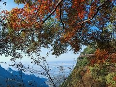 -少华山国家森林公园