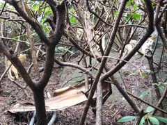 -鸿山公园