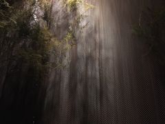 -Dragonfly 悠庭·按摩Spa(苏州中心广场店)