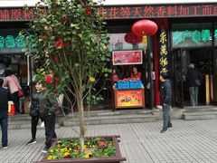 -采芝斋评弹茶馆(观前街店)