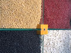 -沃尔玛超市(北大街店)