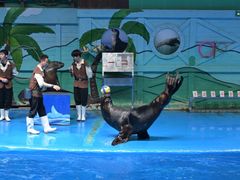 -石家庄极地海洋世界