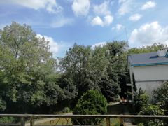 -上海市保健医疗中心(华东疗养院)