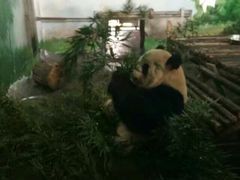 -无锡动物园·太湖欢乐园