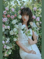 -金夫人婚纱摄影(包河万达店)
