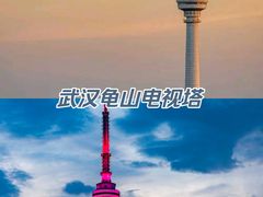 -龟山风景区-龟山电视塔