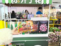 -美罗城